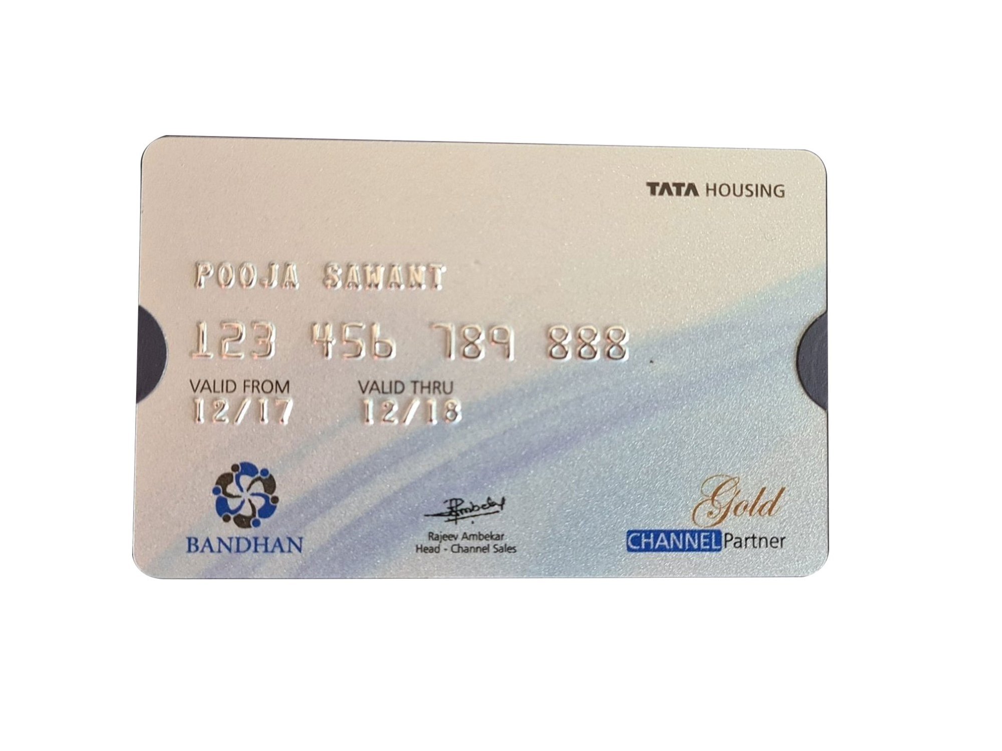 Embossed PVC Shopping Cards